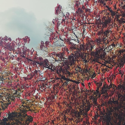 Better To Know - Single