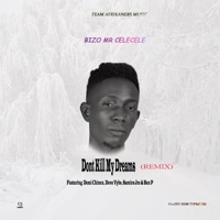 Don't Kill My Dreams (feat. Demi Chinex, Dove Vybe, Samira Jm & Ben P) - Single - Bizo Mr CeleCele