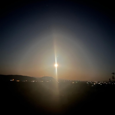 Without You - Single