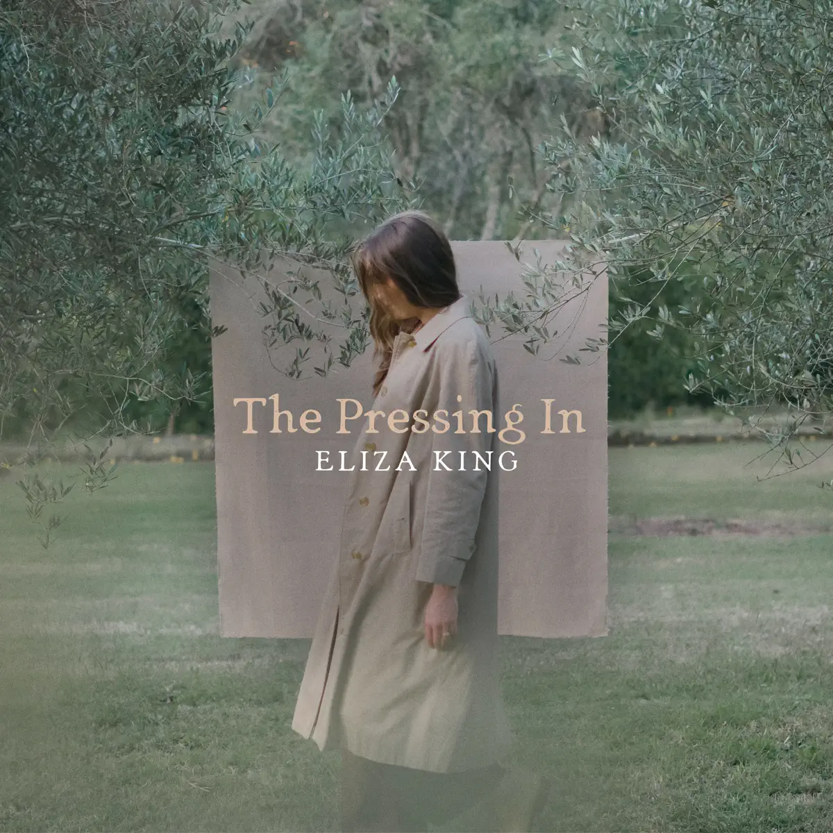 Eliza King - The Pressing In (2024) [iTunes Plus AAC M4A]-新房子