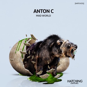 Mad World - Single