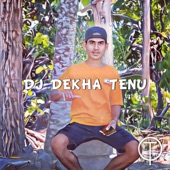 DJ DEKHA TENU artwork