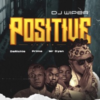 Positive (feat. Darichie, Prime & Mr Dyan) - Single - Dj wiper