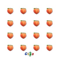 Butt Song - Single - CASO