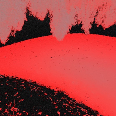 Midnight - Single