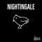 Nightingale - Awire lyrics