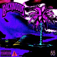 Smoked Out In the Oasis (feat. Zyroh) - Single - hollowshawdy