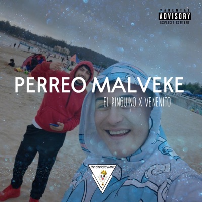 PERREO MALVEKE (feat. VeneNito) - Single
