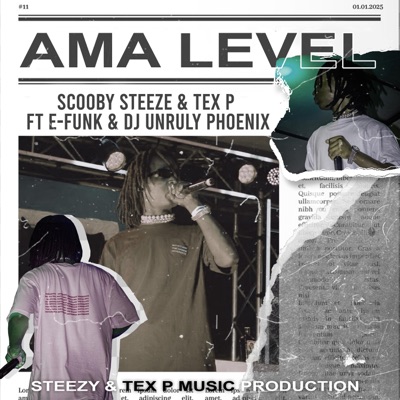 Ama Level (feat. Dj E Funk & Unruly Phoenix) - Single