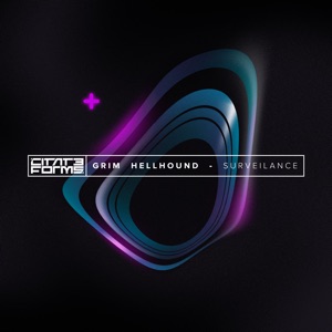 Surveilance - Single
