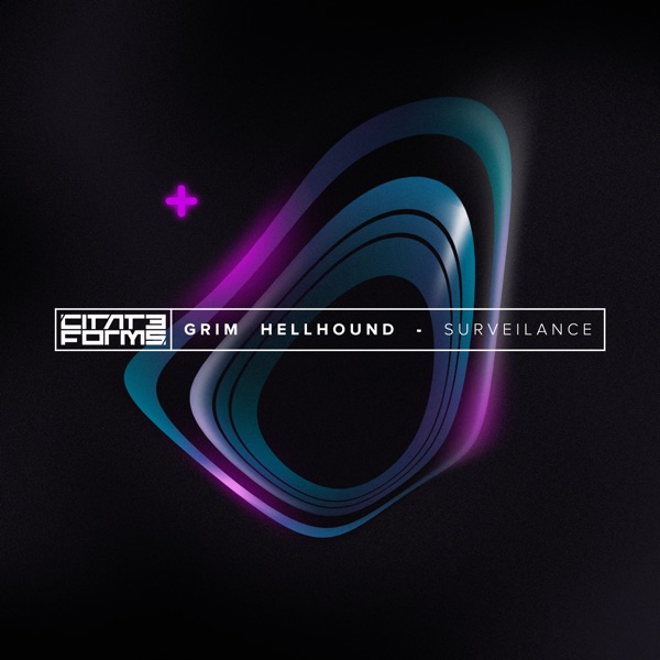 Surveilance - Single