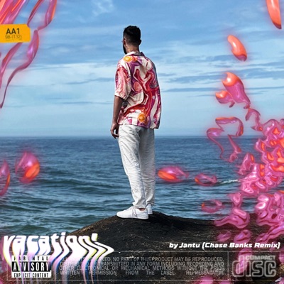 Vacation (feat. re:chase & 2woAM) [Remix] - Single