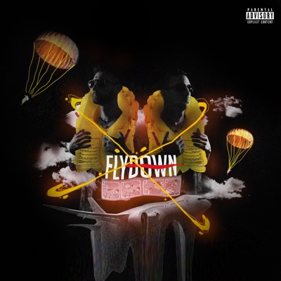 Fly Down - Single