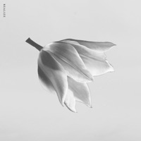 Realize - Single - Gill Chang