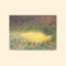 Lilieae - Sofie Birch & Antonina Nowacka lyrics