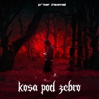 Kosa pod żebro (feat. //SOMAI) - Single - p^ter