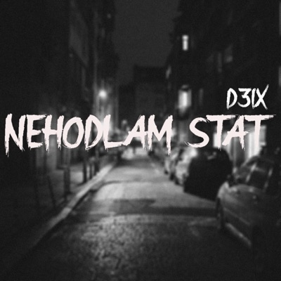 NEHODLÁM STÁT - Single