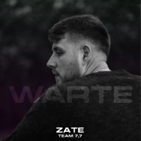 Warte (feat. LUNA) - Single - Zate