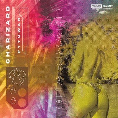 Charizard - Single