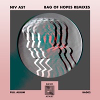Bag of Hopes (REBRN Remix) - Single - Niv Ast