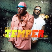 Temper (feat. Burna Boy) [Remix] artwork