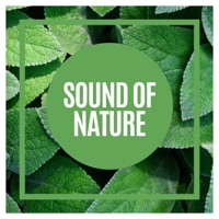 Sound of Nature - Recording Nature, The Nature Soundscapes & Natsound
