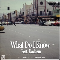 What Do I Know (feat. Kadeem) - Single - Walz