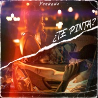¿Te Pinta? - Single - Yorugua