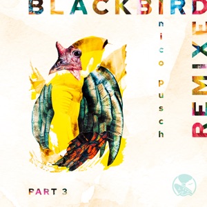 Blackbird, Pt. 3 (Remixed) - Single