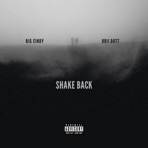 Shake Back (feat. BriiDott) - Single