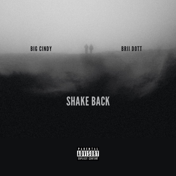 Shake Back (feat. BriiDott)