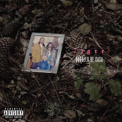 Orgullo de casa - Single