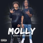 MOLLY (feat. P$L & NTC Youngwerkk) - Single