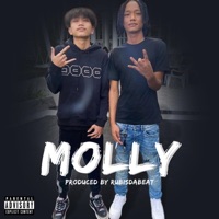 MOLLY (feat. P$L & NTC Youngwerkk) - Single - RUBISDABEAT