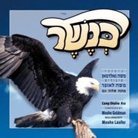משה גאלדמאן - וכשם -כנשר