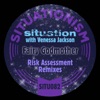 Fairy Godmother (Risk Assessment Remixes) - Single