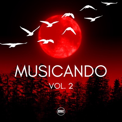 Musicando, Vol. 2