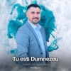 Tu ești Dumnezeu - Single