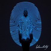 Identity  cover