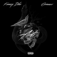 Anti (feat. GrimRexx) - Single - Kanary Blac