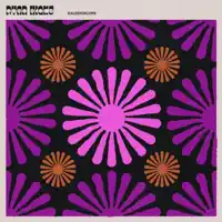 Kaleidoscope — Ryan Hicks