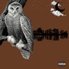 Night Owl - Single