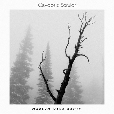 Manga - Cevapsız Sorular (Mazlum Uruc Remix) - Single