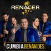 Falsa monedita - Single