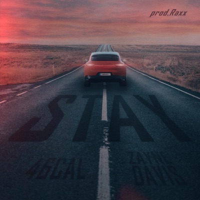 Stay (feat. Zayne Davis) - Single