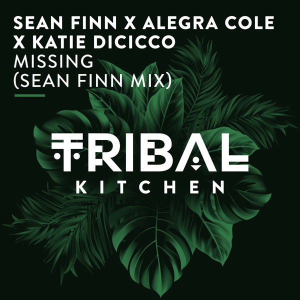 Missing (Sean Finn Mix) - Single