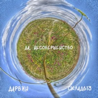 Да, несовершенство - Single - Дарвин & Склад613