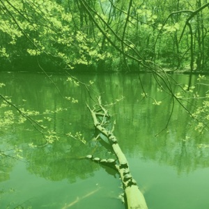 Lakeside