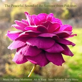 The Peaceful Sound of the Santoor from Pakistan artwork
