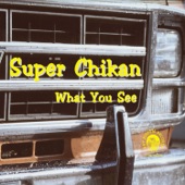 Super Chikan - Ain't Nobody